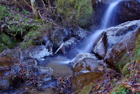 taki-yama150118IMGP5549