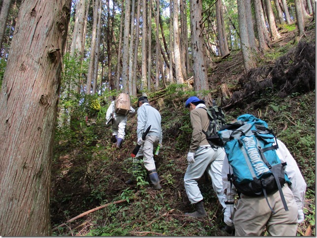 cid B4345EFF184E477BA2BCA576ECA658F4NECLaVie