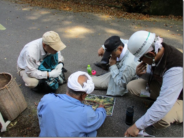 cid CF5F9DD312DC4D41A3A91C7901ADDC3ENECLaVie