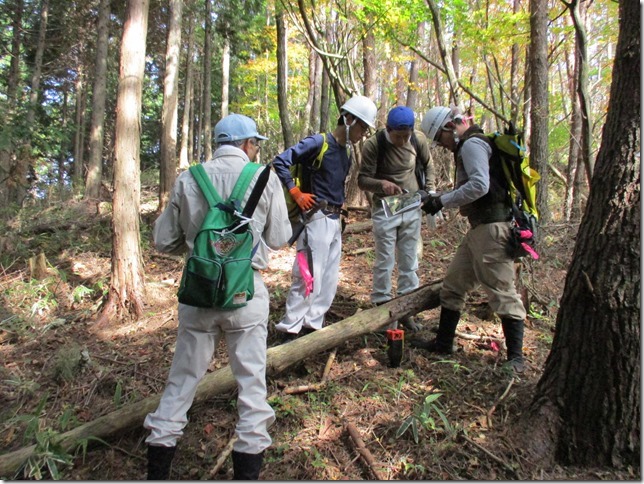 cid D9CA2255CB7E42EAB0A79C787B27168ANECLaVie